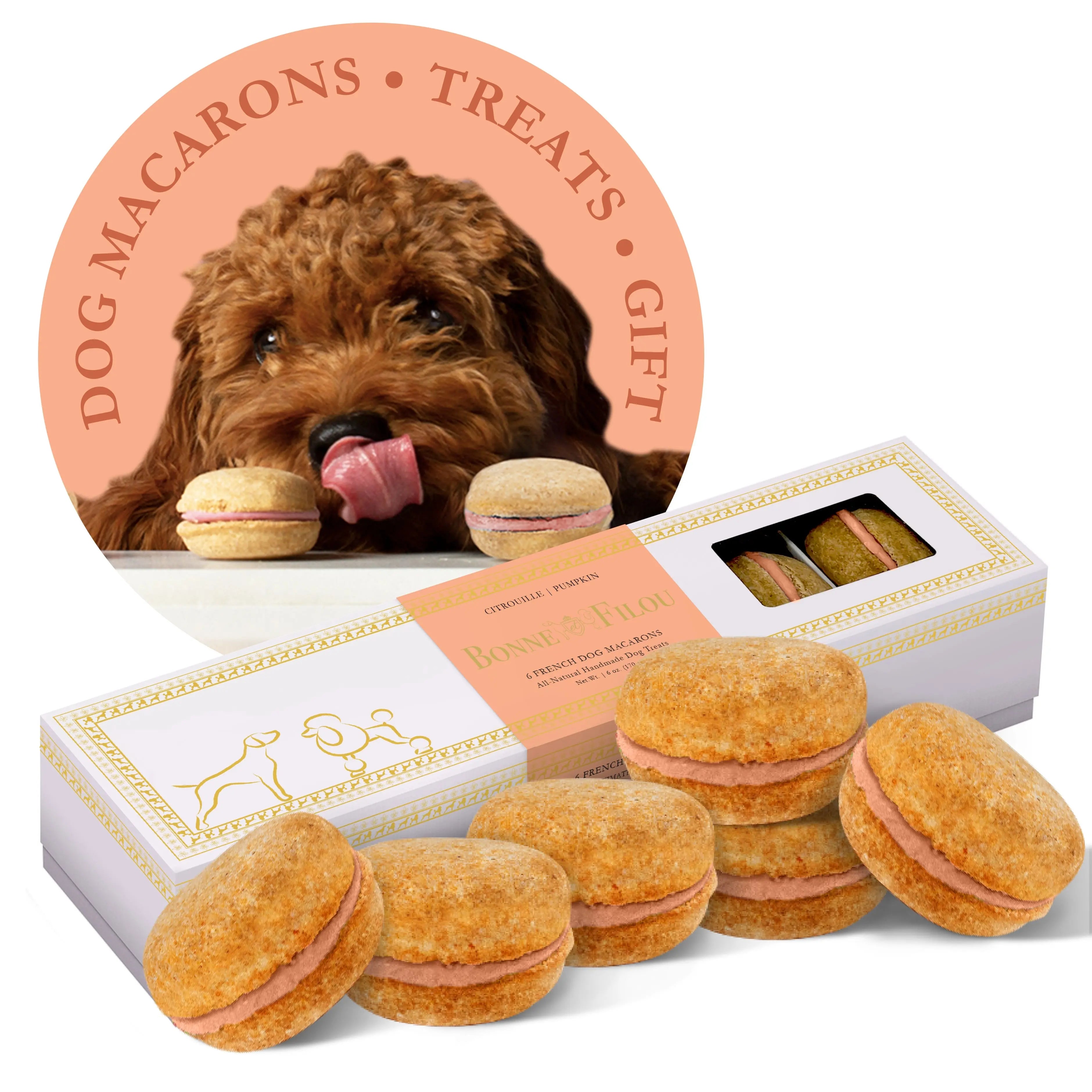 Pumpkin dog macarons