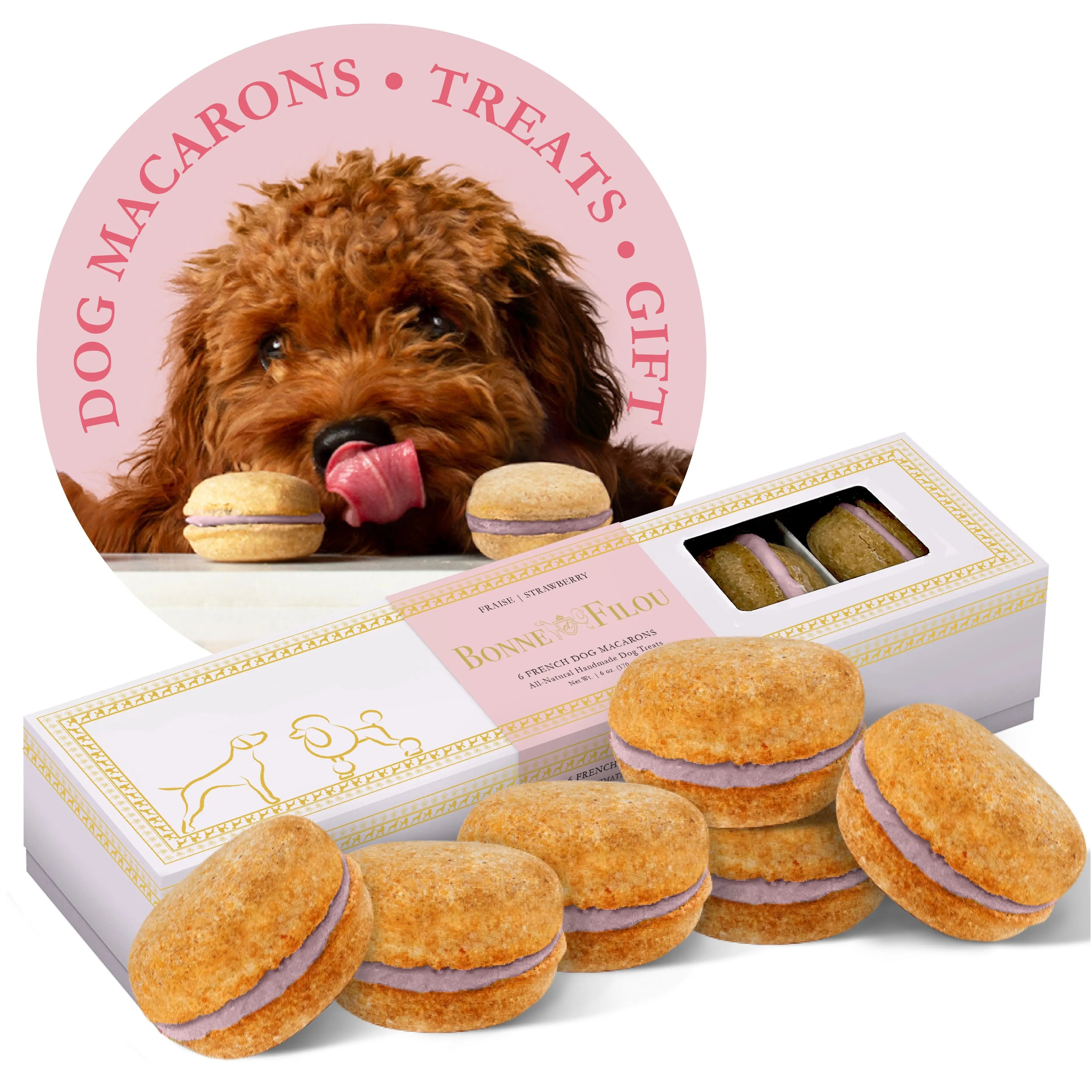 Bonne et Filou dog macarons with their presentation box and a dog